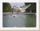 Franca266 * 2272 x 1704 * (1.15MB)