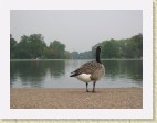 Inglaterra249 * 1600 x 1200 * (820KB)