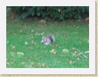 Inglaterra262 * 1600 x 1200 * (580KB)