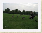 Inglaterra266 * 1600 x 1200 * (840KB)