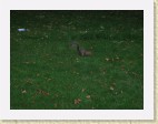 Inglaterra277 * 1600 x 1200 * (877KB)