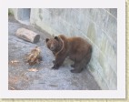 suica061 * 1600 x 1200 * (1021KB)